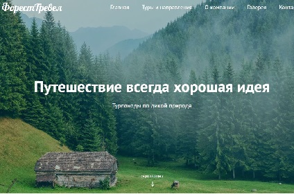 Пример работы 5